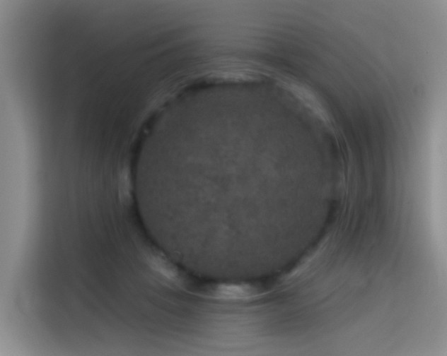 X0000114130457200910081248