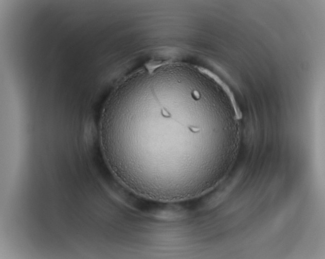 X0000114130459200910081248