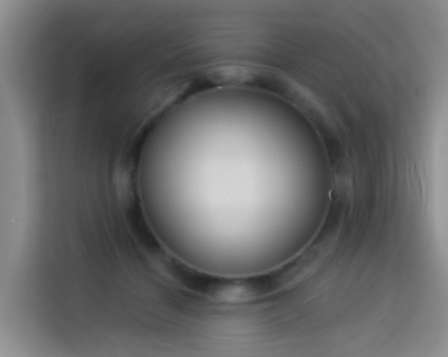 X0000114130460200910081248