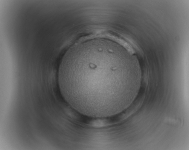 X0000114130461200910081248
