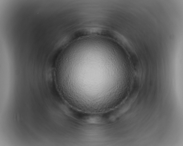 X0000114130462200910081248