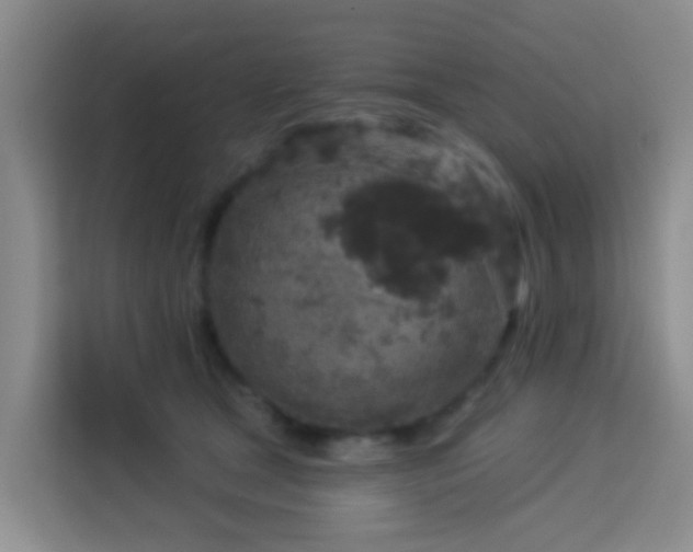 X0000114130465200910081248