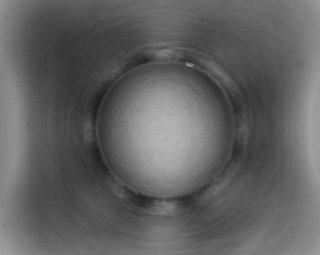 X0000114130469200910081248