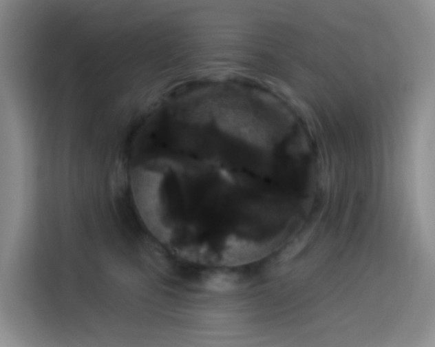 X0000114130471200910081248