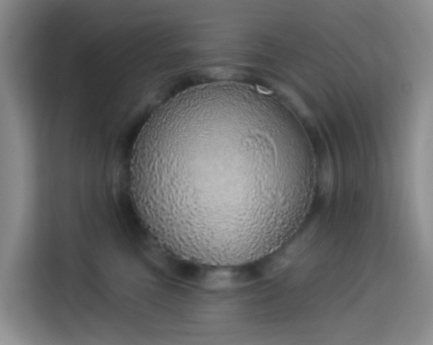 X0000114130473200910081248