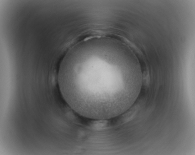 X0000114130474200910081248