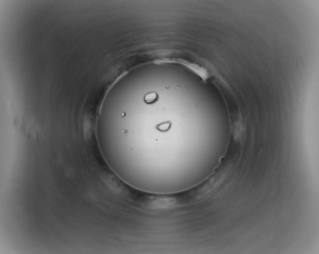 X0000114130476200910081248