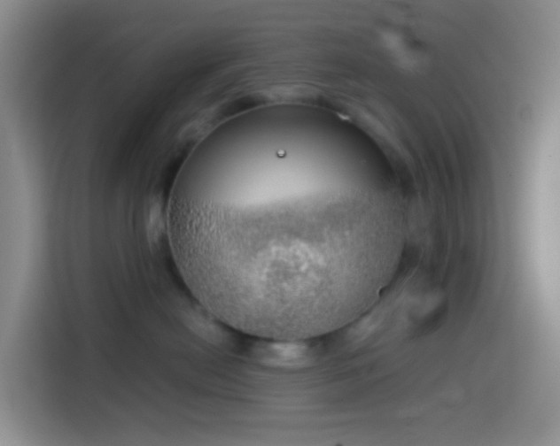 X0000114130478200910081248