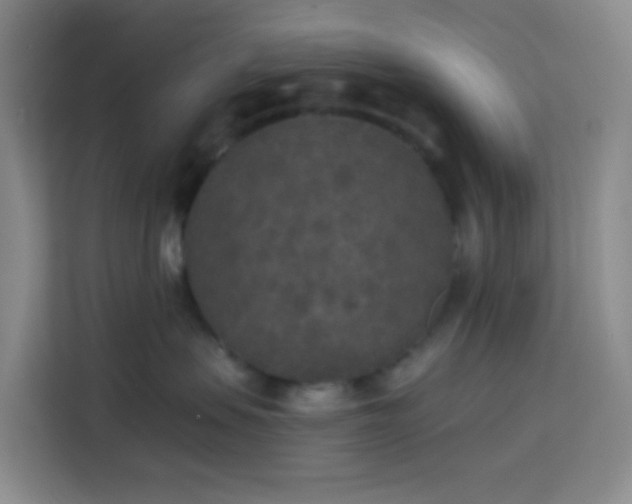 X0000114130479200910081248