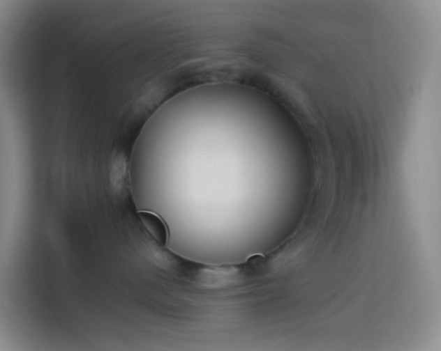 X0000114130480200910081248