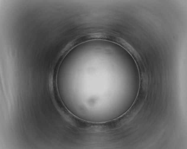 X0000114130482200910081247