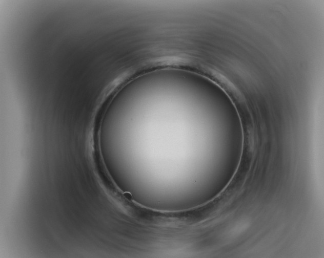 X0000114130486200910081247