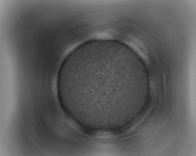 X0000114130487200910081247