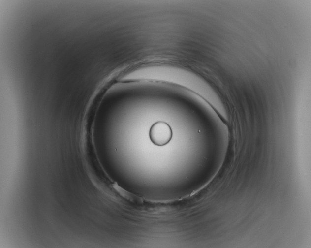 X0000114130492200910081247