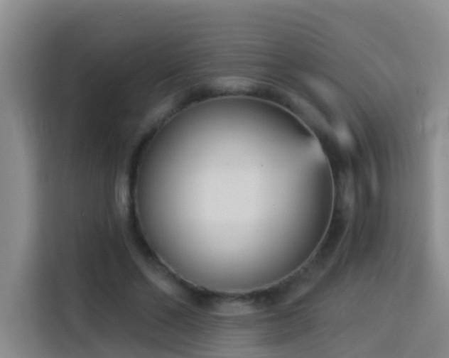 X0000114130494200910081247