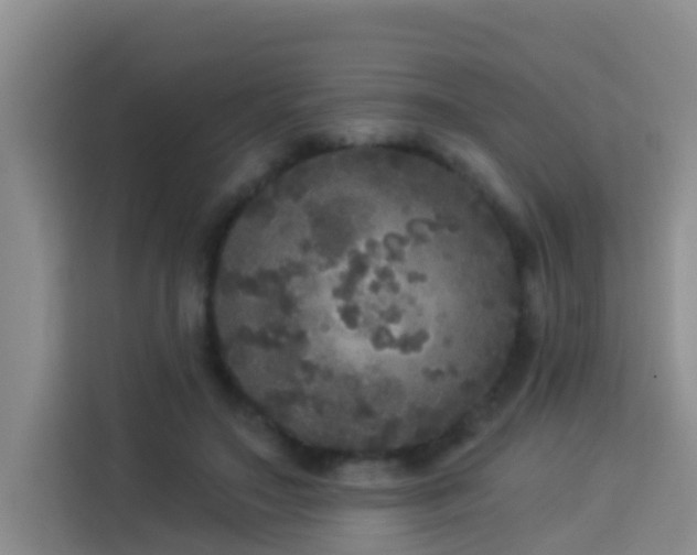 X0000114130499200910081247