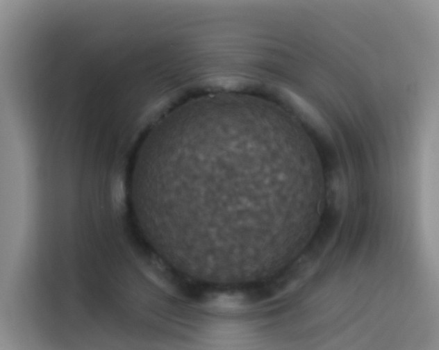 X0000114130500200910081247