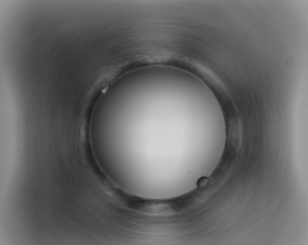X0000114130501200910081247