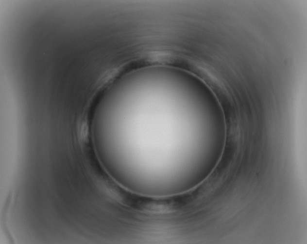 X0000114130502200910081247