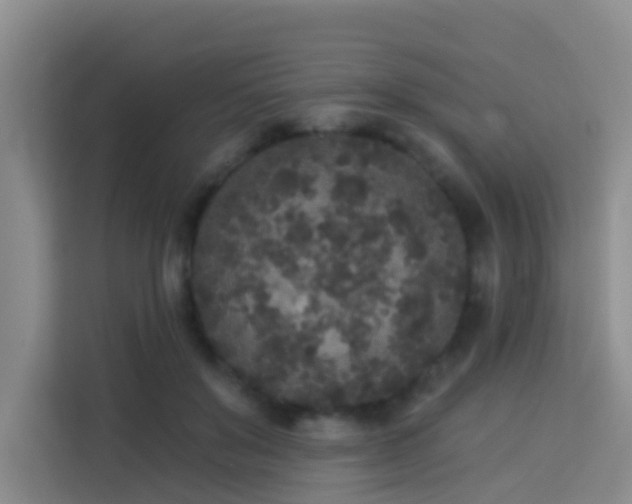 X0000114130503200910081247