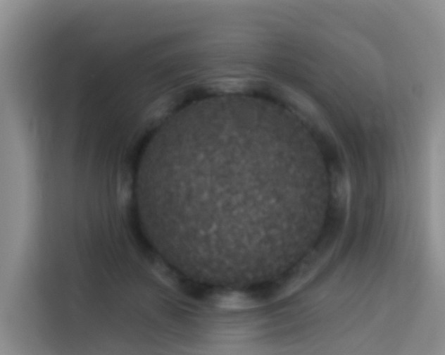 X0000114130507200910081247