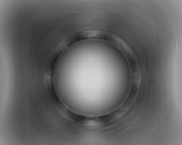 X0000114130510200910081247