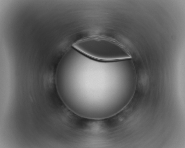 X0000114130513200910081247