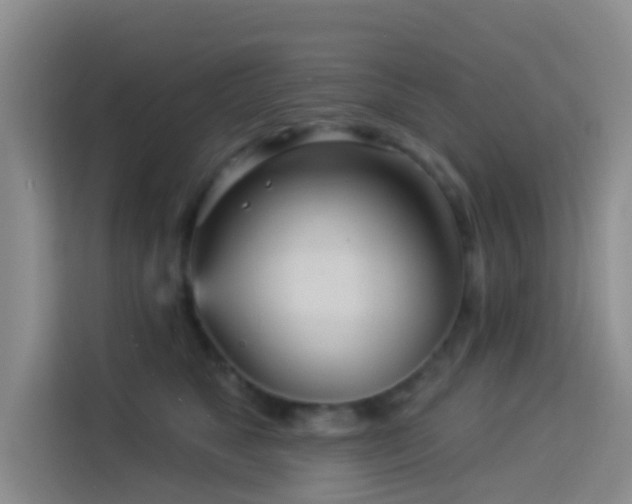 X0000114130517200910081247