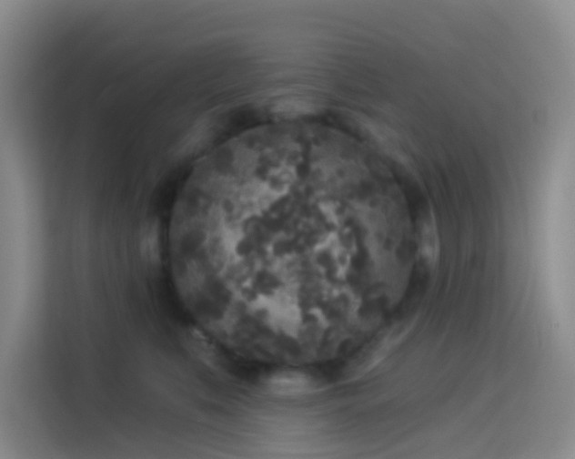 X0000114130519200910081247