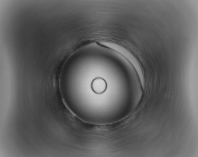 X0000114130520200910081247