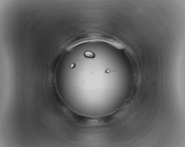 X0000114130521200910081247
