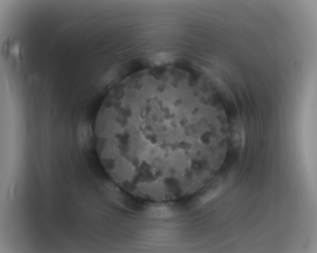 X0000114130523200910081247