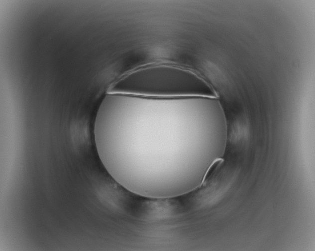 X0000114130524200910081247