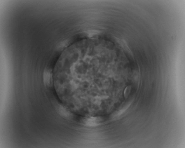 X0000114130527200910081247