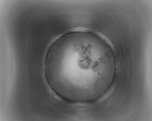 X0000114130529200910081246