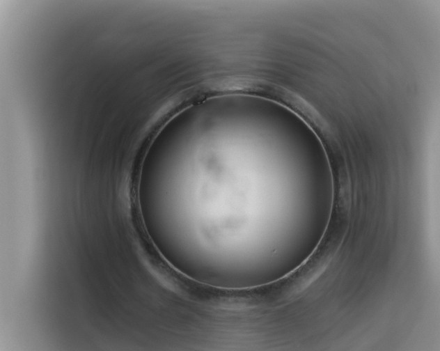 X0000114130530200910081246