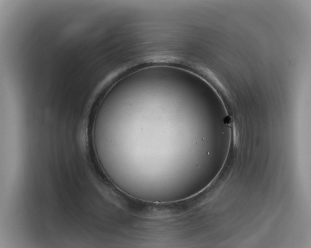 X0000114130531200910081246