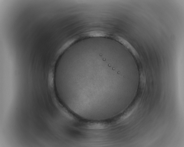 X0000114130533200910081246