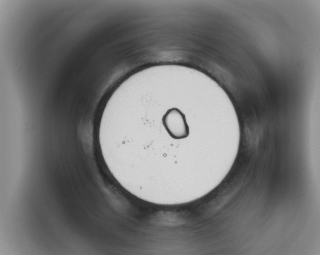 X0000114130534200910081246