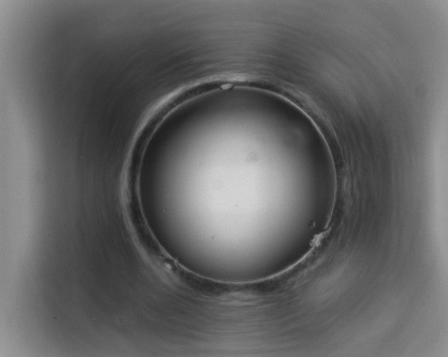 X0000114130536200910081246