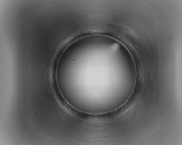 X0000114130538200910081246