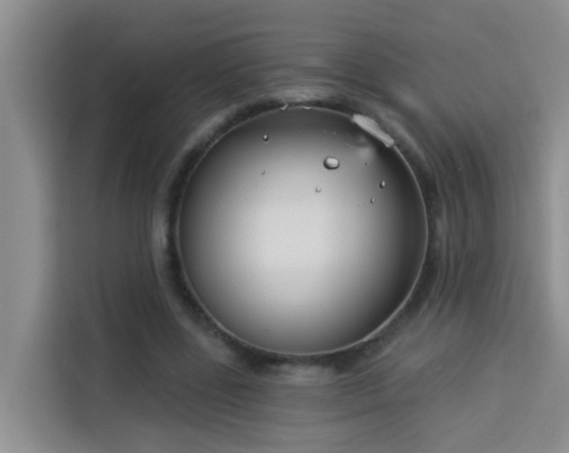 X0000114130539200910081246