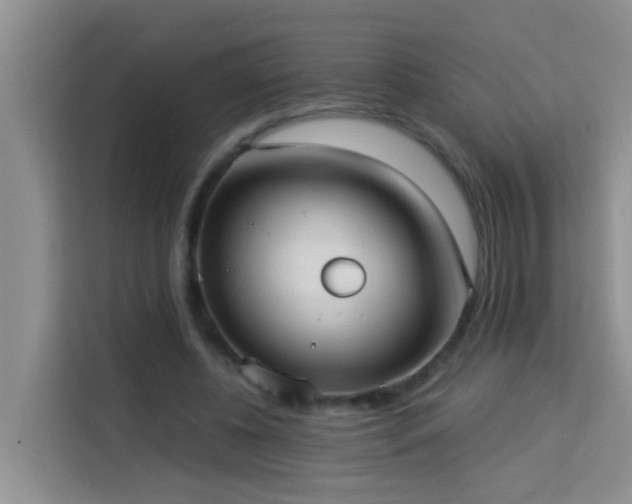 X0000114130540200910081246