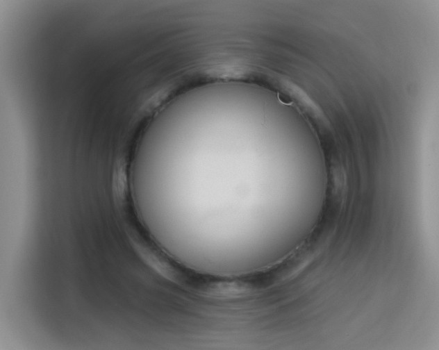 X0000114130541200910081246