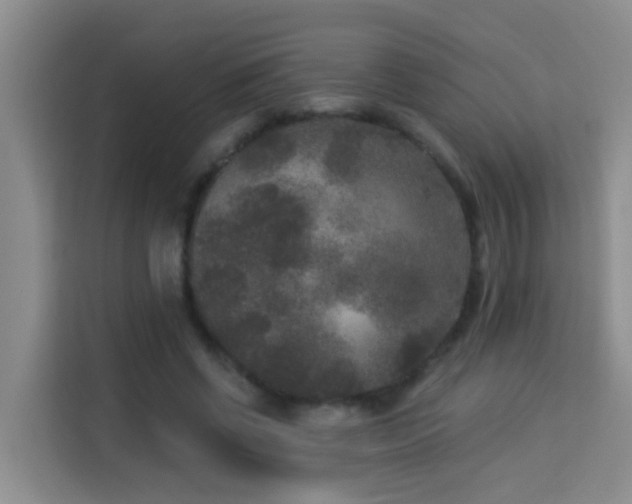X0000114130542200910081246