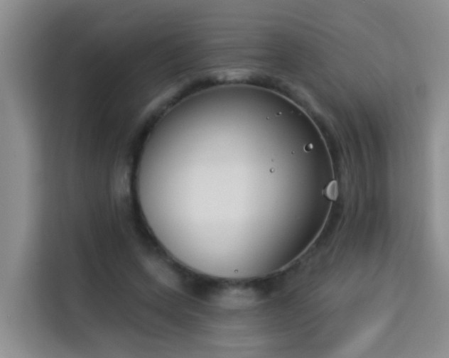 X0000114130543200910081246