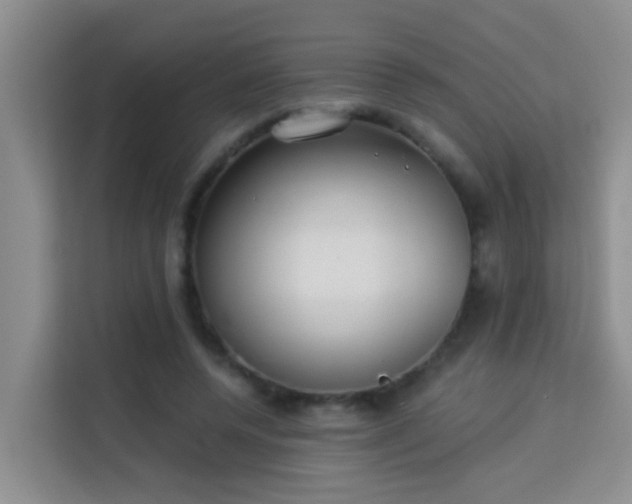 X0000114130544200910081246