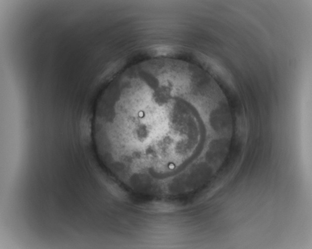 X0000114130545200910081246