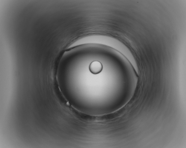 X0000114130546200910081246