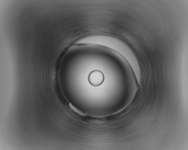 X0000114130548200910081246